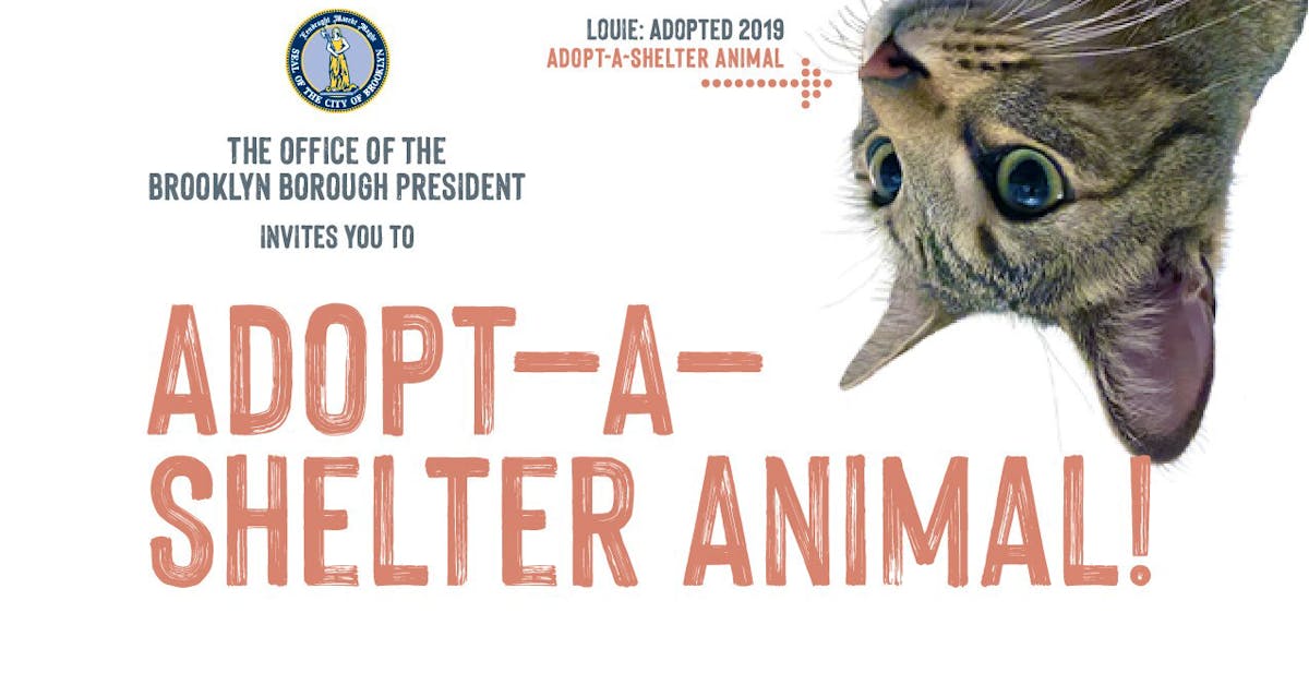 Adopt A Shelter Animal Downtown Brooklyn